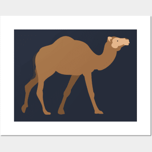 Camel Posters and Art